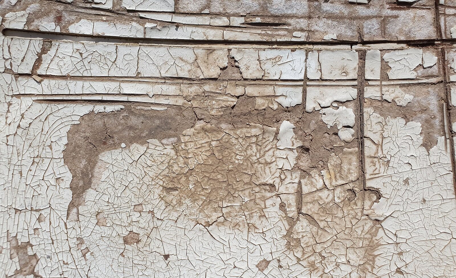 Image of dry rot damage to wood