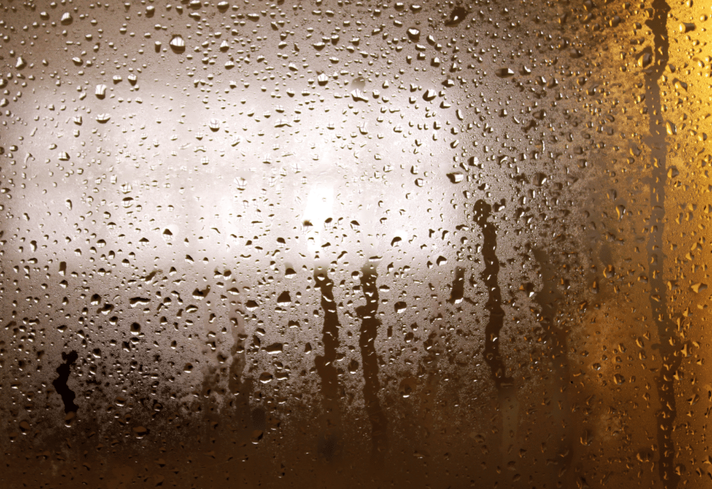Humidity Inspection Services | Marin County & San Fran | VCE